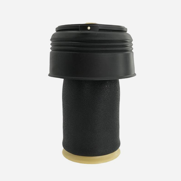 BMW E70 X5 And E71 X6 Air Spring